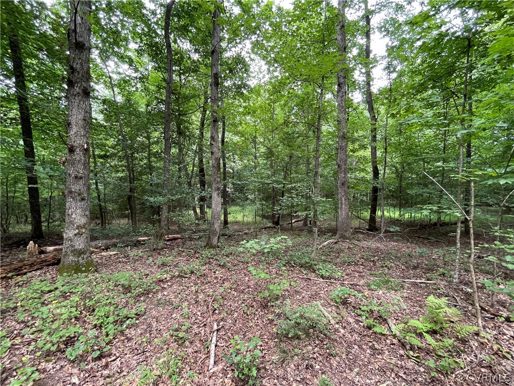 19.202 Acres (off Of) Cabin Point Rd Spring Grove Spring Grove, VA 23881 - Photo 18 of 30 Gallery Image 18