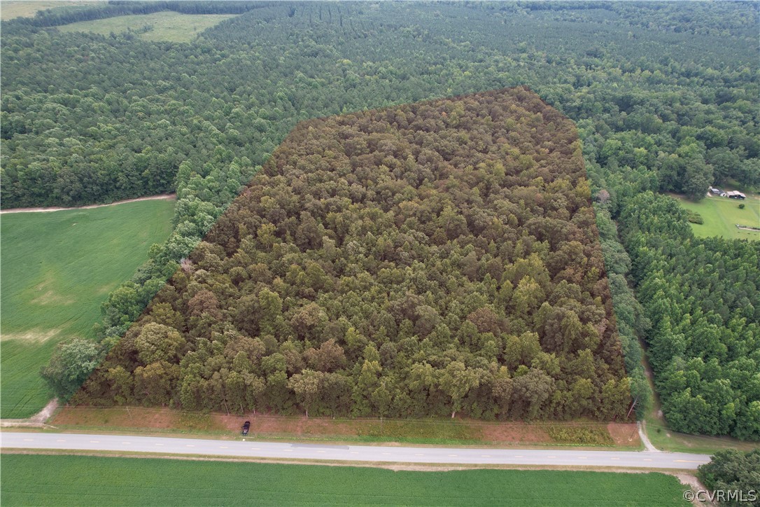 19.202 Acres (off Of) Cabin Point Rd Spring Grove Spring Grove, VA 23881 - Photo 2 of 30 Gallery Image 2
