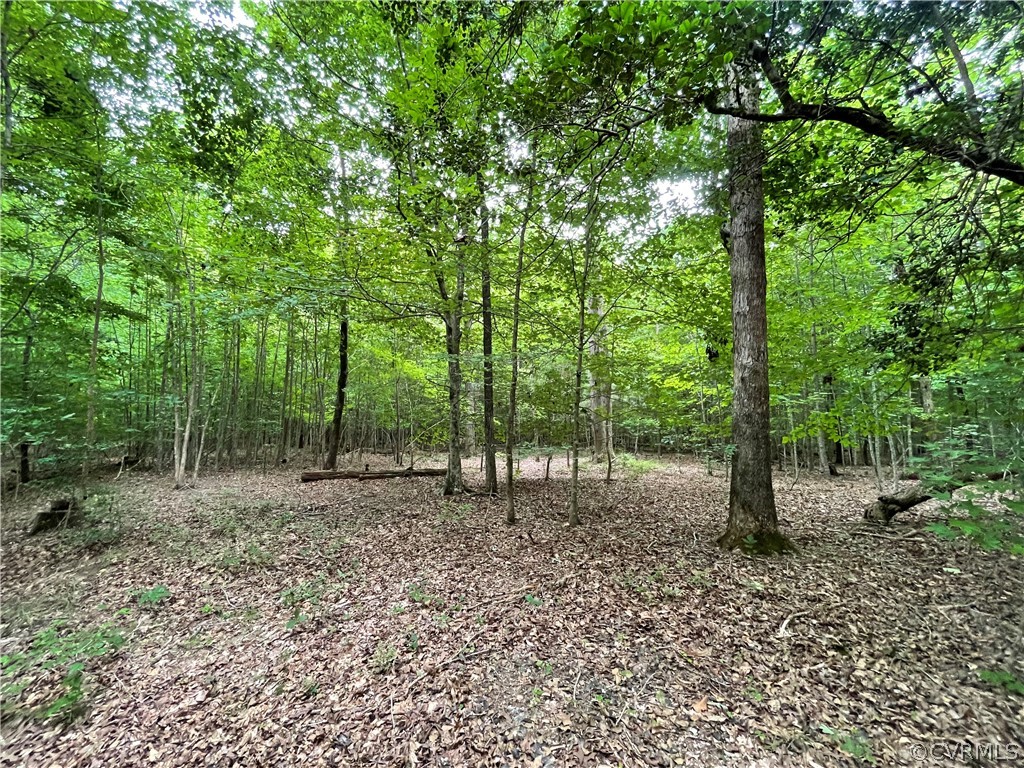 19.202 Acres (off Of) Cabin Point Rd Spring Grove Spring Grove, VA 23881 - Photo 22 of 30 Gallery Image 22