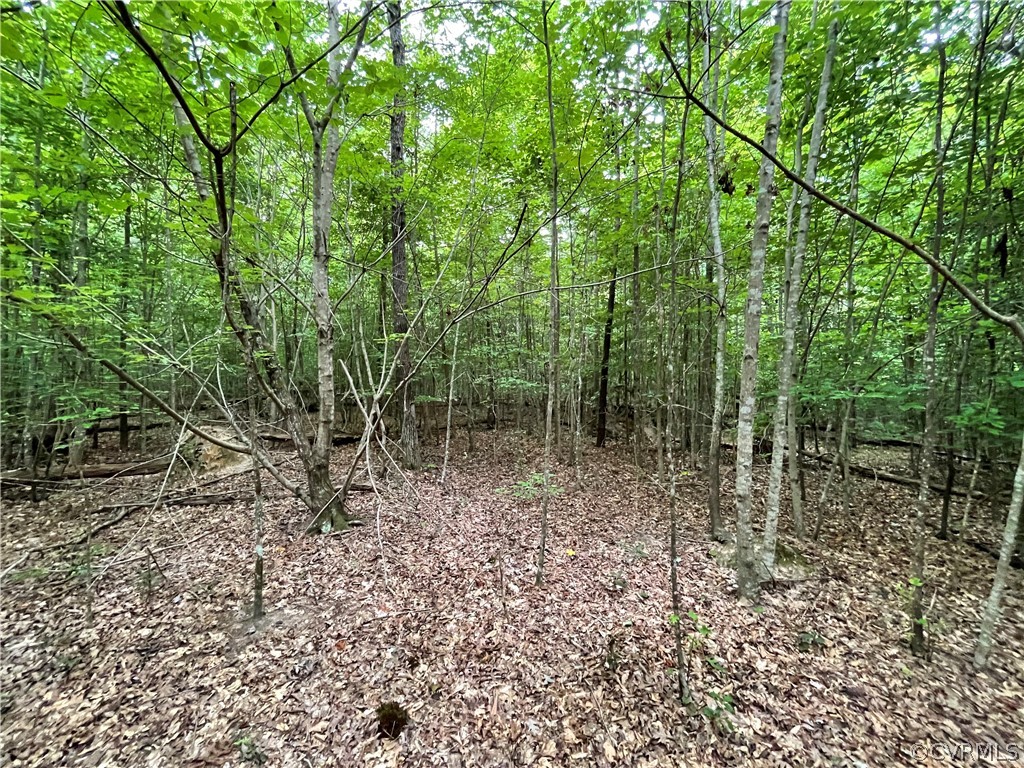 19.202 Acres (off Of) Cabin Point Rd Spring Grove Spring Grove, VA 23881 - Photo 23 of 30 Gallery Image 23