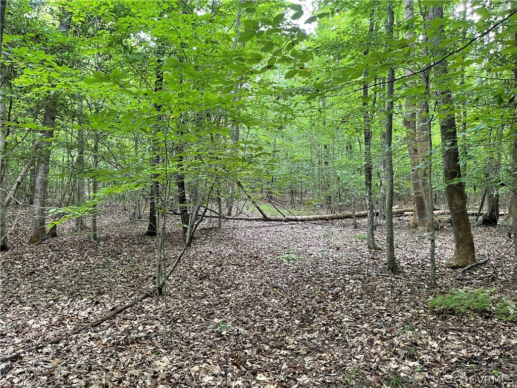 19.202 Acres (off Of) Cabin Point Rd Spring Grove Spring Grove, VA 23881 - Photo 24 of 30 Gallery Image 24