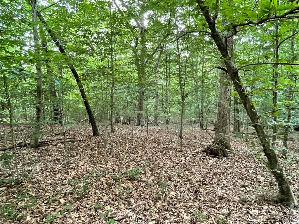19.202 Acres (off Of) Cabin Point Rd Spring Grove Spring Grove, VA 23881 - Photo 27 of 30 Gallery Image 27