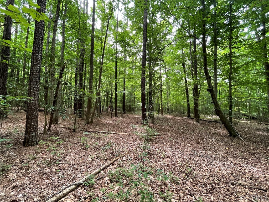19.202 Acres (off Of) Cabin Point Rd Spring Grove Spring Grove, VA 23881 - Photo 28 of 30 Gallery Image 28