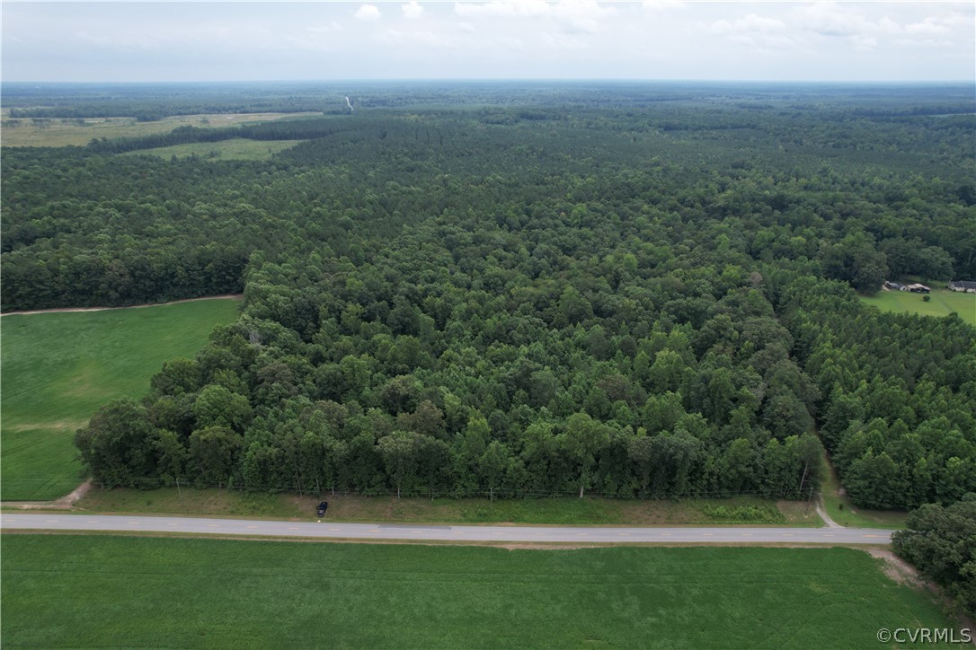 19.202 Acres (off Of) Cabin Point Rd Spring Grove Spring Grove, VA 23881 - Photo 3 of 30 Gallery Image 3
