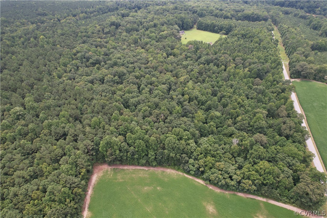 19.202 Acres (off Of) Cabin Point Rd Spring Grove Spring Grove, VA 23881 - Photo 5 of 30 Gallery Image 5