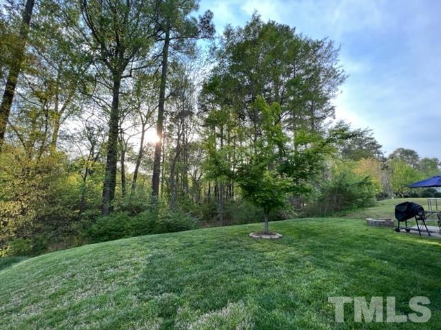 812 Nightshade Way Raleigh, NC 27610 - Photo 4 of 14 Gallery Image 4