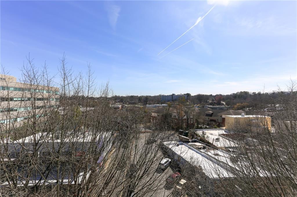 335 West Ponce De Leon Avenue, Unit 606 Decatur, GA 30030 - Photo 10 of 43 Gallery Image 10