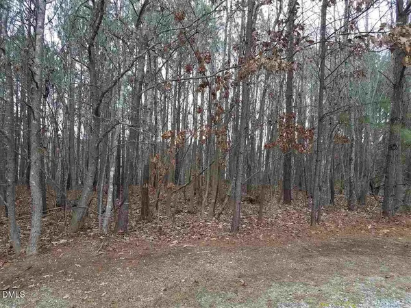 a view of outdoor space with lots of trees