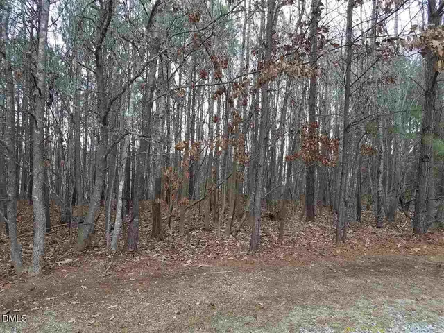 $700,000 | 2908 Satori Way, Apex, NC 27539