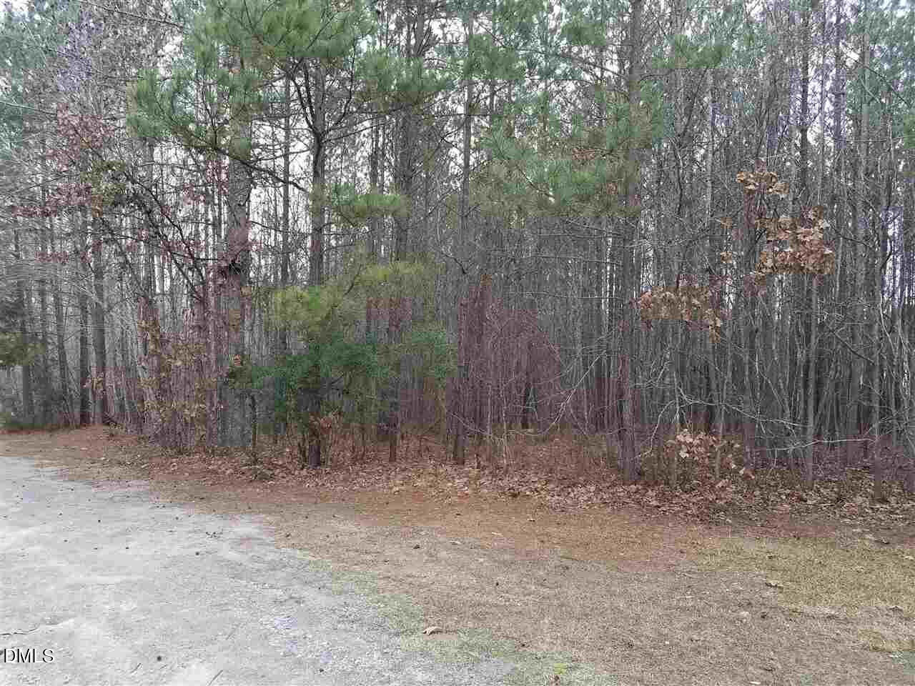 2908 Satori Way Apex, NC 27539 - Photo 2 of 7 a view of forest