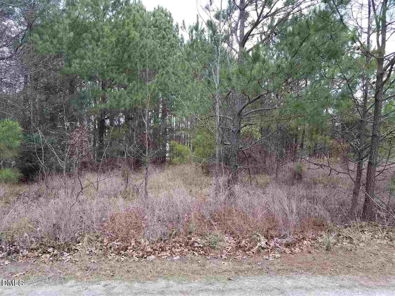 2908 Satori Way Apex, NC 27539 - Photo 3 of 7 a view of a forest with trees in the background