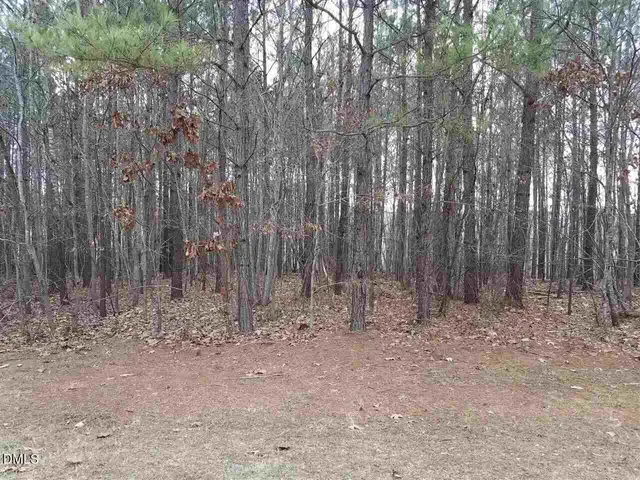 a view of park with large trees