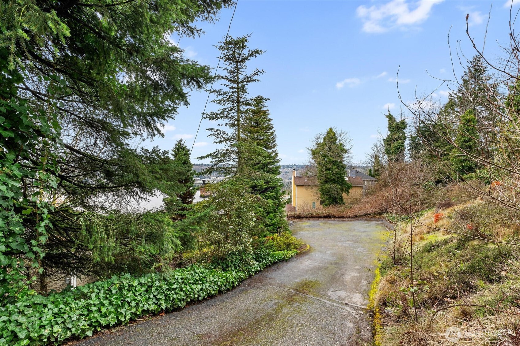 5162 South Wallace Street Seattle, WA 98178 - Photo 34 of 37 a view of a yard with plants and trees