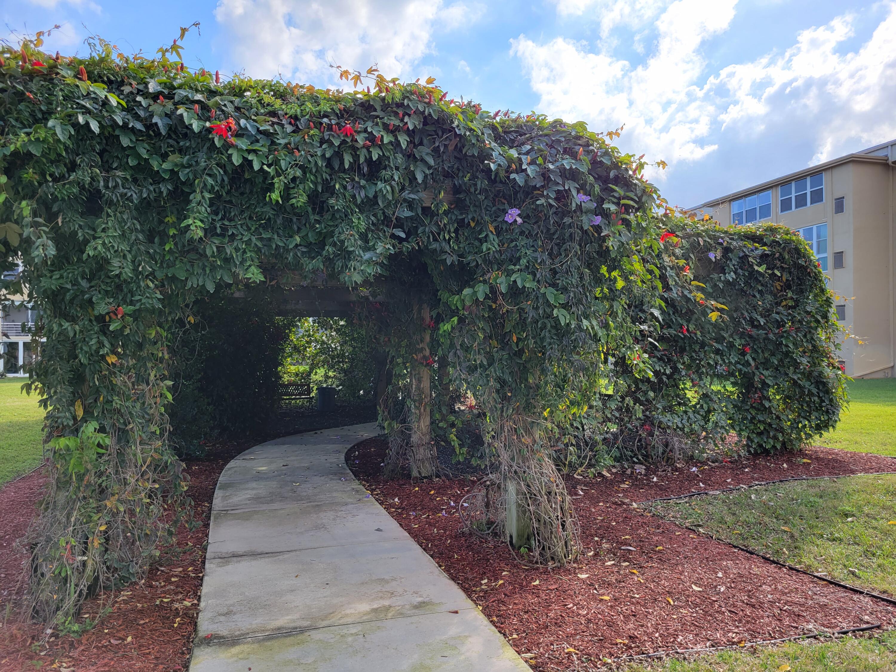 300 Northeast 26th Avenue, Unit 305 Boynton Beach, FL 33435 - Photo 38 of 54 a backyard of a house with lots of green space