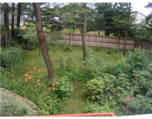 1374 Trapelo Road Waltham, MA 02451 - Photo 4 of 10 a backyard of a house with lots of green space