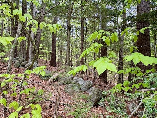 0 Route 114 North Sutton, NH 03260 - Photo 11 of 13