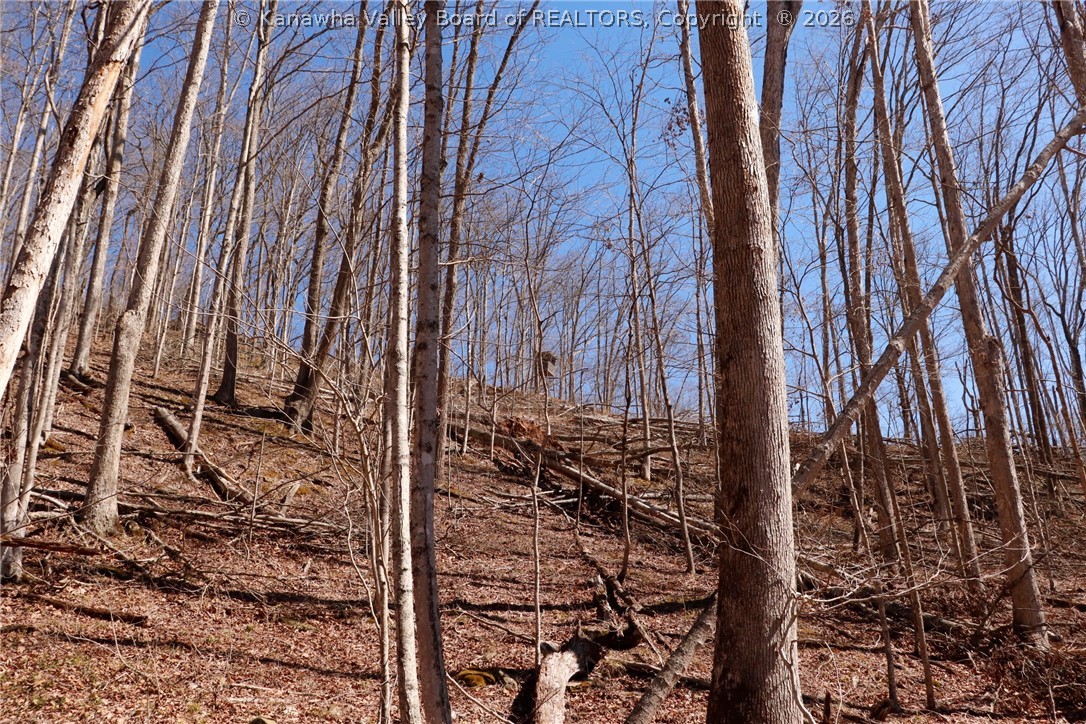 0 Straight Creek Road Walton, WV 25286 - Photo 29 of 47 Gallery Image 29