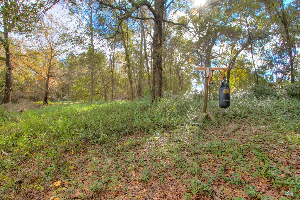 6100 Tarleton Road Dalzell, SC 29040 - Photo 28 of 29