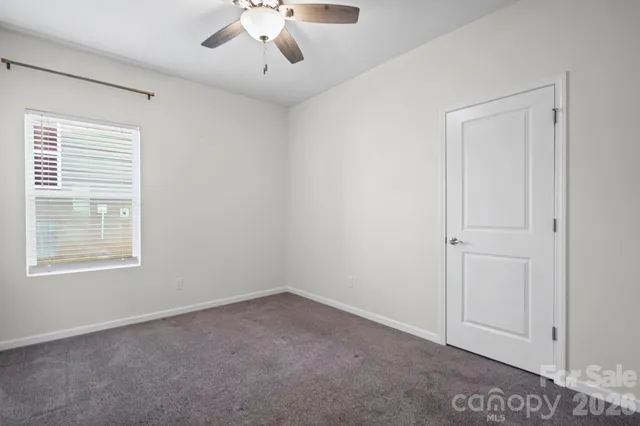 a view of a garden with a plant