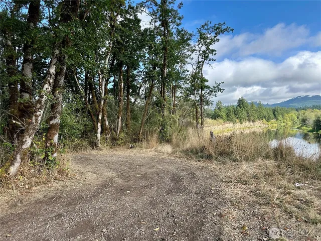 a view of a yard with a tree