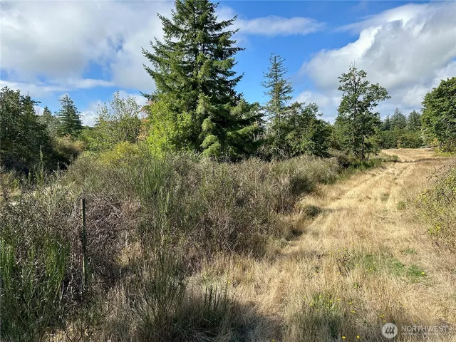 a view of a yard with a tree