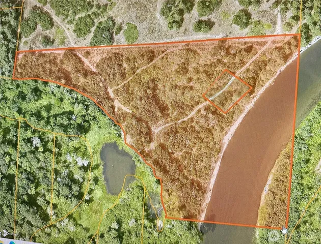 a view of a garden from a window