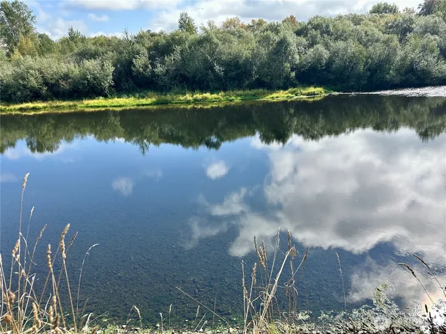 a view of a lake with a yard and trees