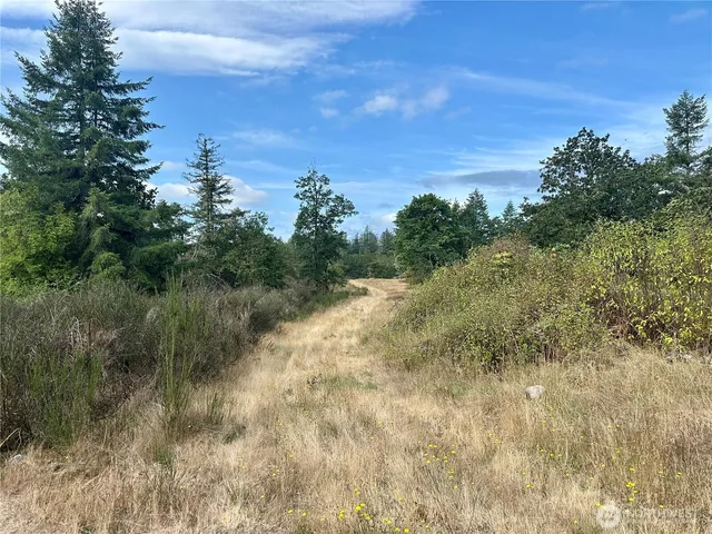 a view of a field of grass and trees