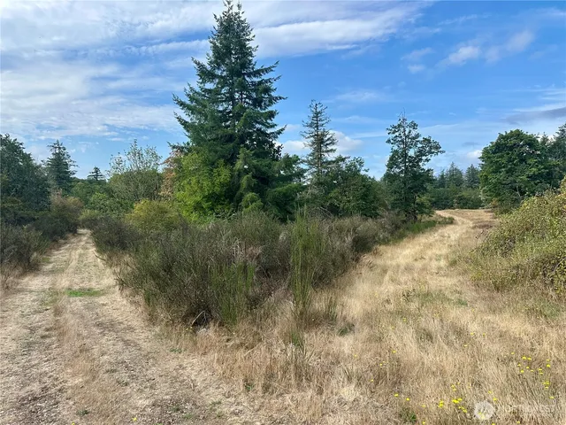 a view of a field of grass and trees