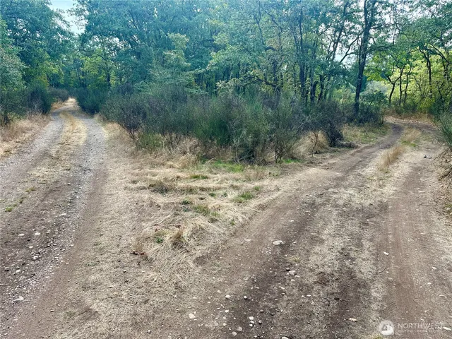 a view of a yard with a tree