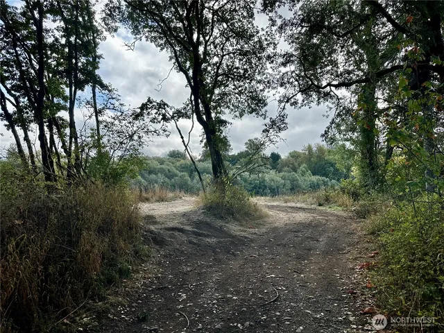 a big yard with lots of green space and trampoline