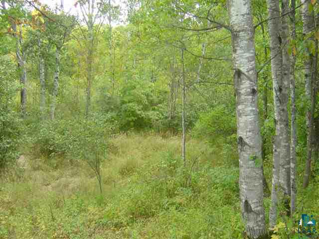 72940 Range Line Road Iron River, WI 54847 - Photo 7 of 9
