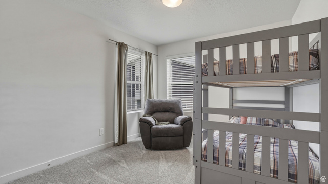 1418 Castillo Road Spanish Fork, UT 84660 - Photo 14 of 40