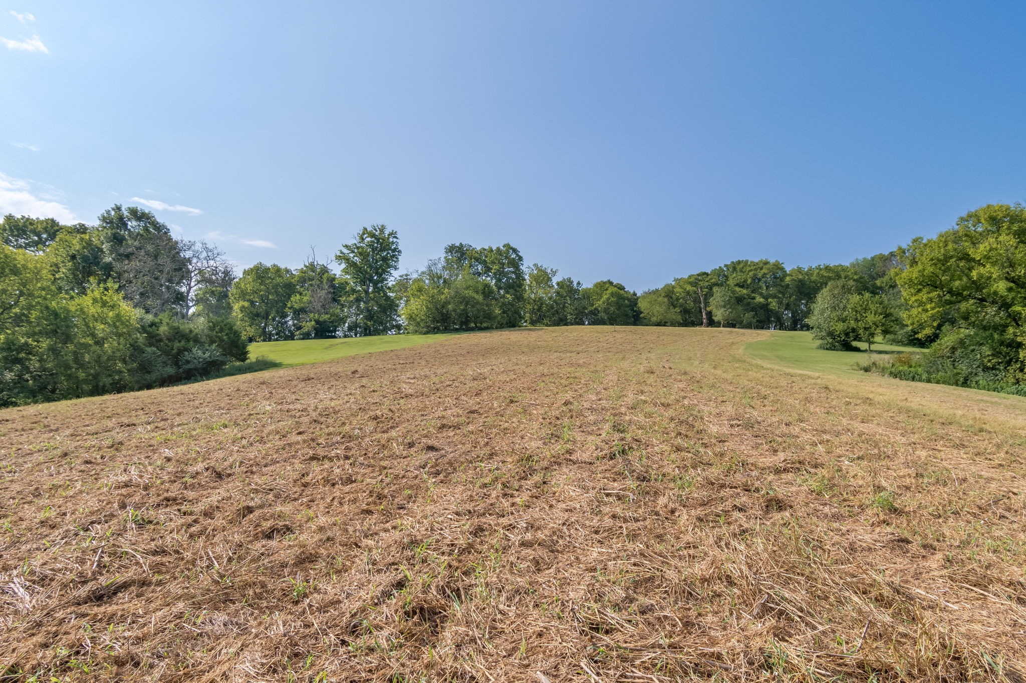 2868 Pullens Mill Road Culleoka, TN 38451 - Photo 6 of 27 Gallery Image 6