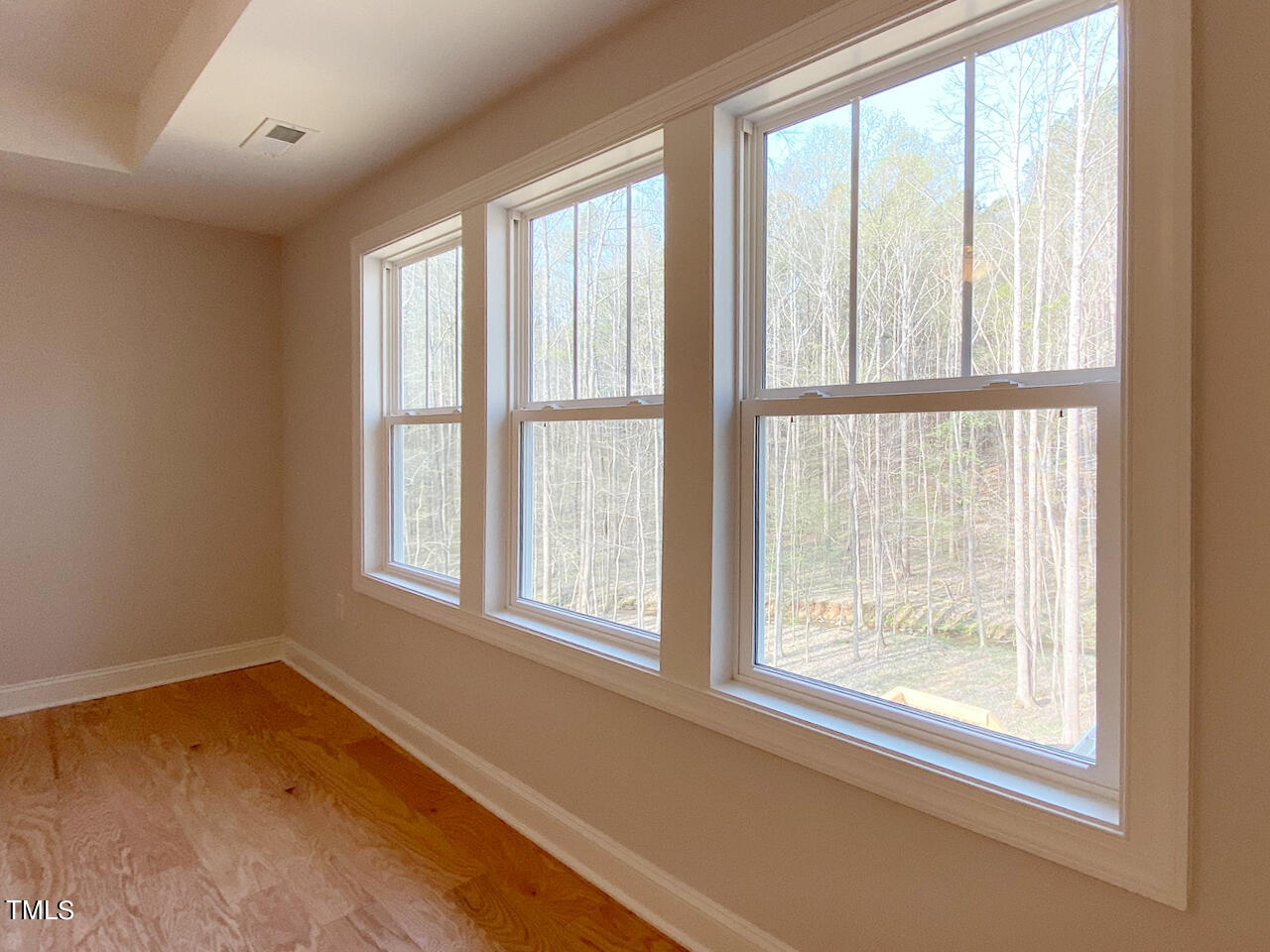 4649 Apple Rdg Lane Graham, NC 27253 - Photo 22 of 41 hc17 - master windows