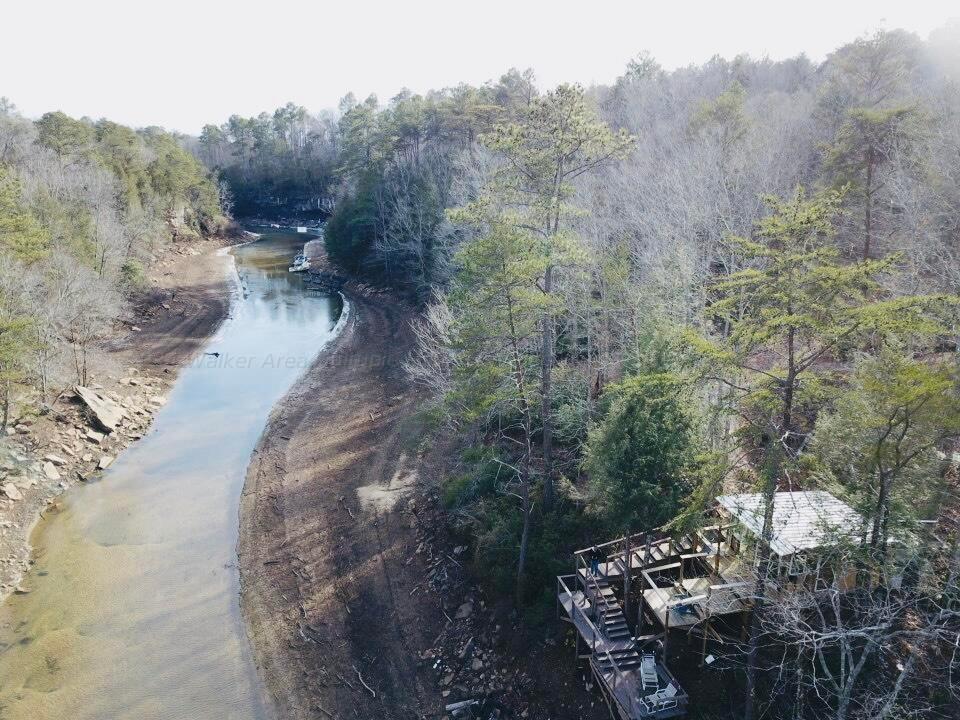 Jim Davis Road Arley, AL 35541 - Photo 3 of 23 Gallery Image 3