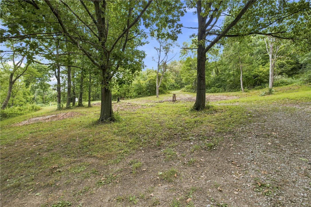 4862 Decamp Road Tyrone, NY 14837 - Photo 8 of 21 Gallery Image 8