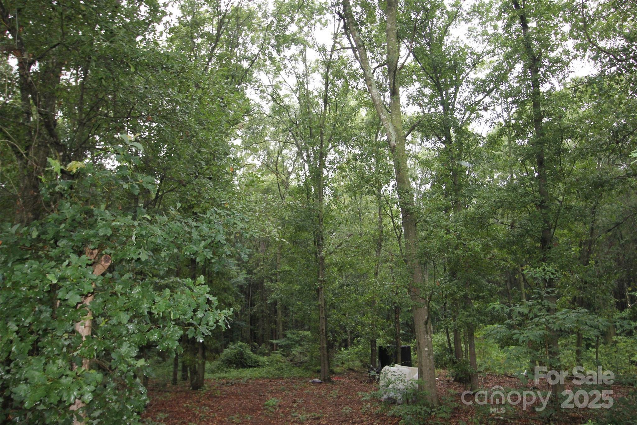 Tbd Rainbow Road Wadesboro, NC 28170 - Photo 2 of 4 Gallery Image 2