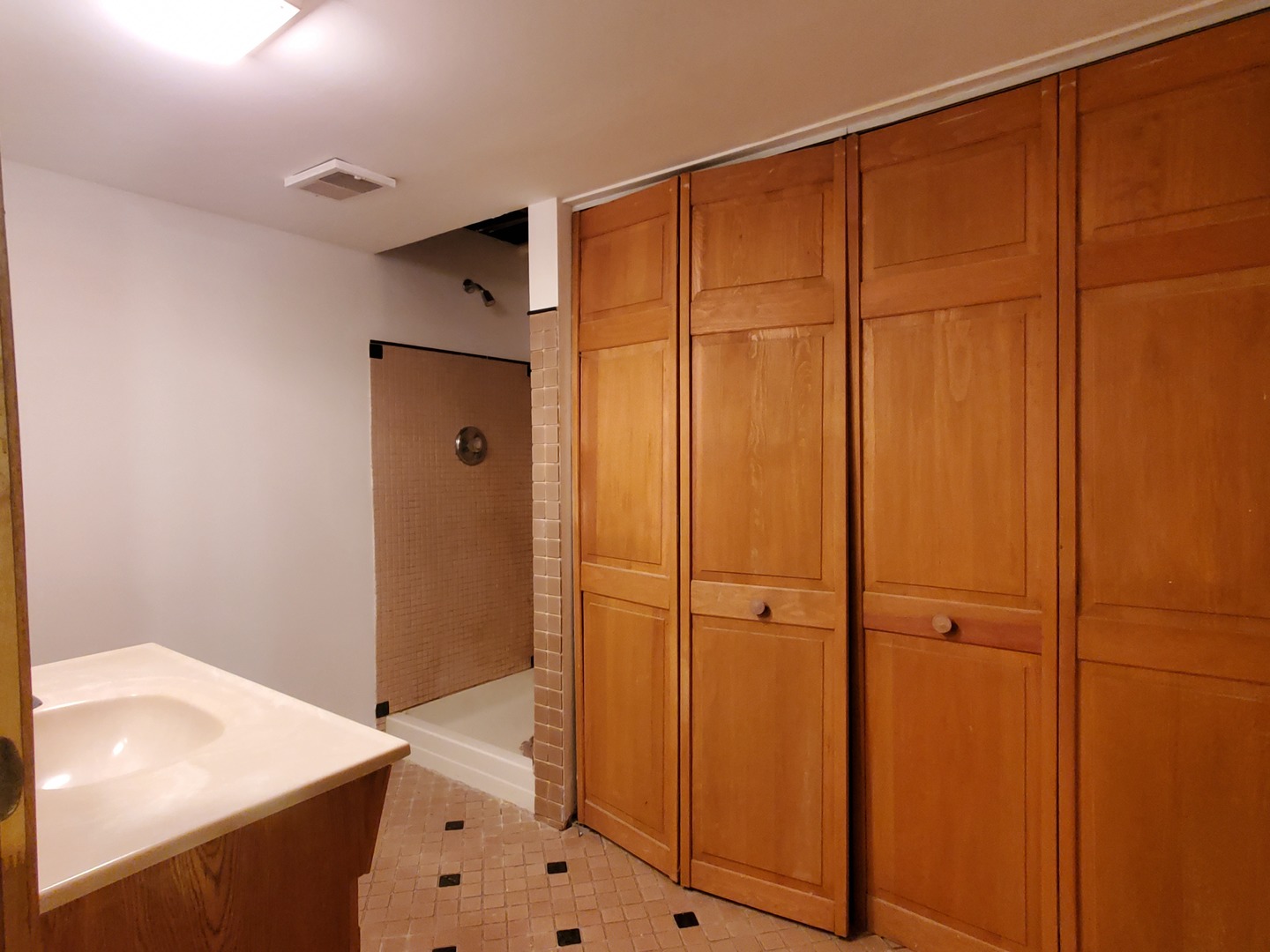19212 Weber Road Mokena, IL 60448 - Photo 19 of 24 a bathroom with a sink and a shower