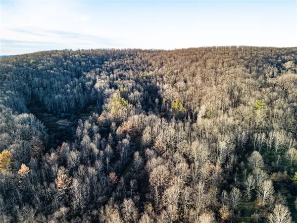 $164,900 | 0 Ingraham Road, Belmont, NY 14813