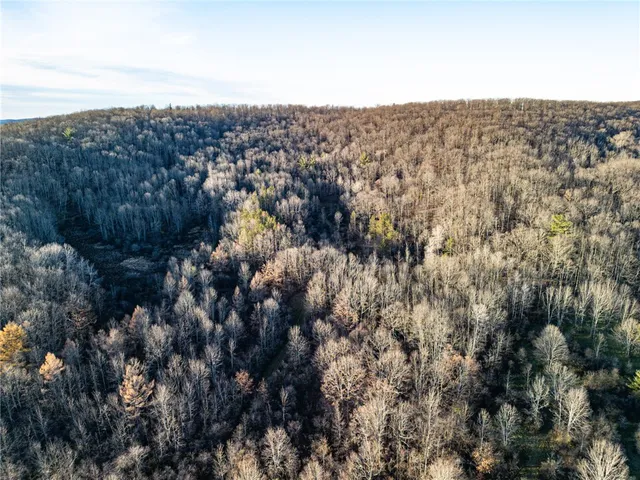 $164,900 | 0 Ingraham Road, Belmont, NY 14813