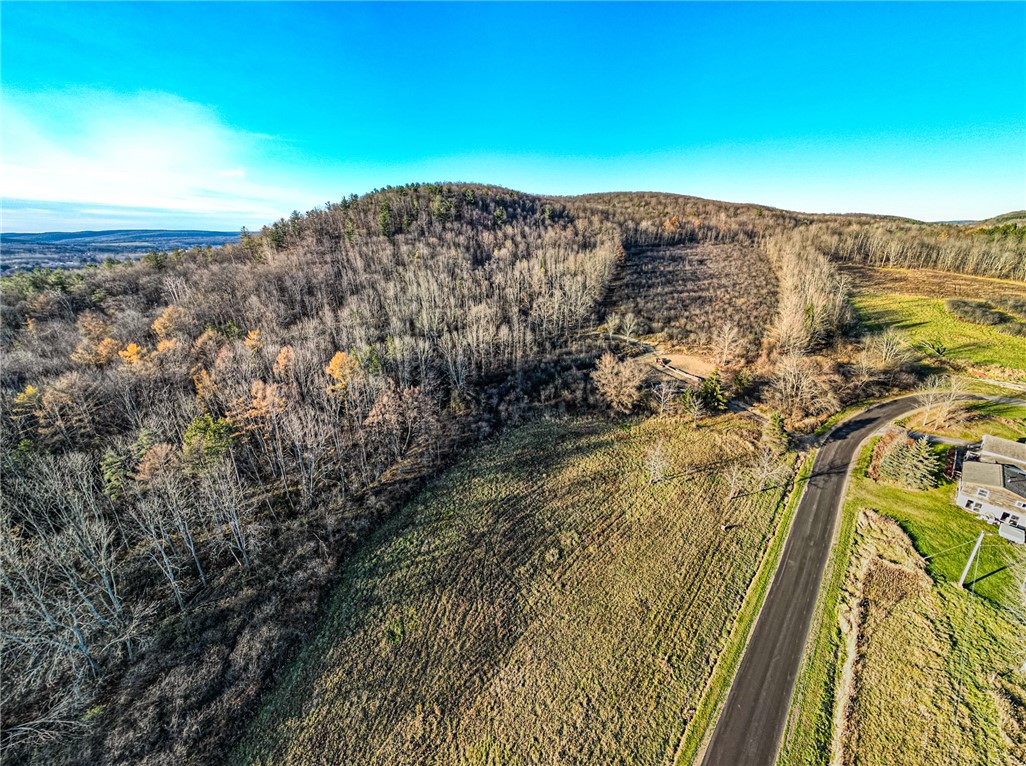 0 Ingraham Road Belmont, NY 14813 - Photo 4 of 10