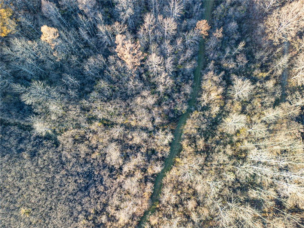 0 Ingraham Road Belmont, NY 14813 - Photo 5 of 10