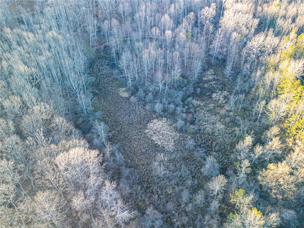 0 Ingraham Road Belmont, NY 14813 - Photo 6 of 10