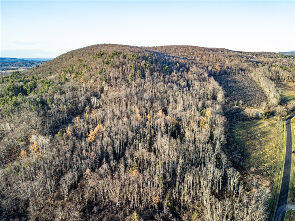 0 Ingraham Road Belmont, NY 14813 - Photo 7 of 10