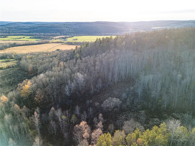 $164,900 | 0 Ingraham Road, Belmont, NY 14813