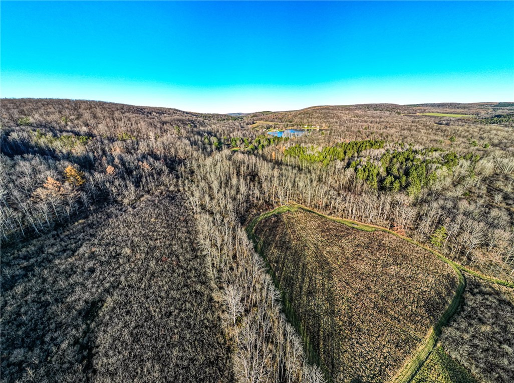 0 Ingraham Road Belmont, NY 14813 - Photo 10 of 10