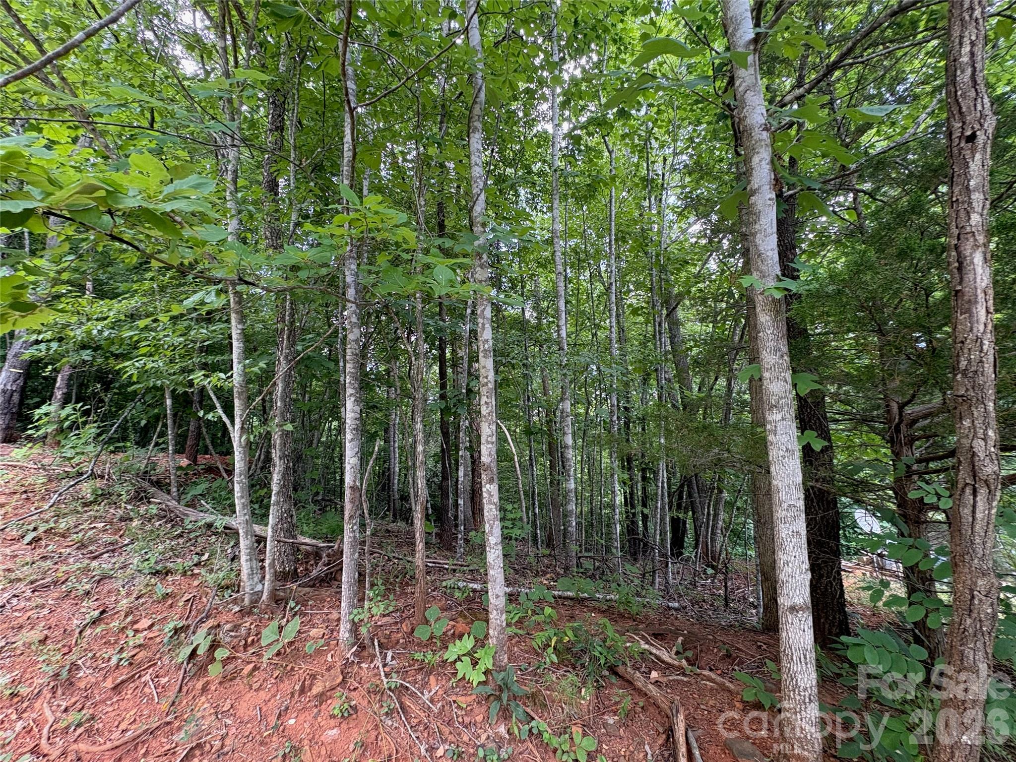 289 Champagne Ridge Lake Lure, NC 28746 - Photo 4 of 6