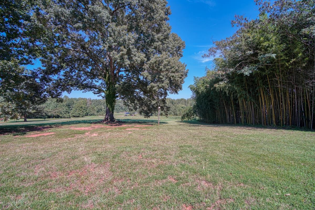 1815 John Dodd Road Wellford, SC 29385 - Photo 30 of 34