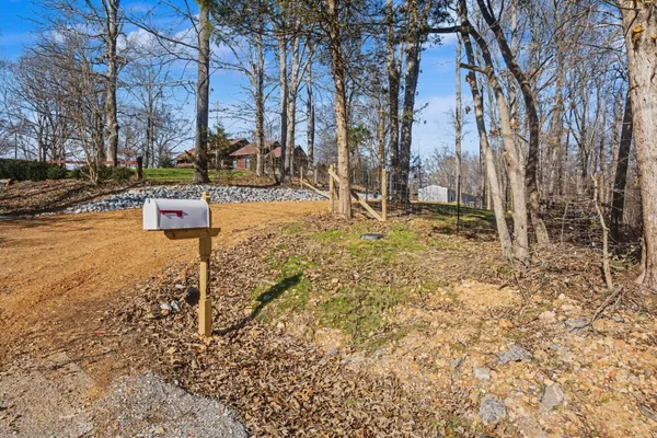 a view of a yard with trees